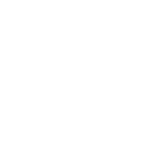 1 1 1